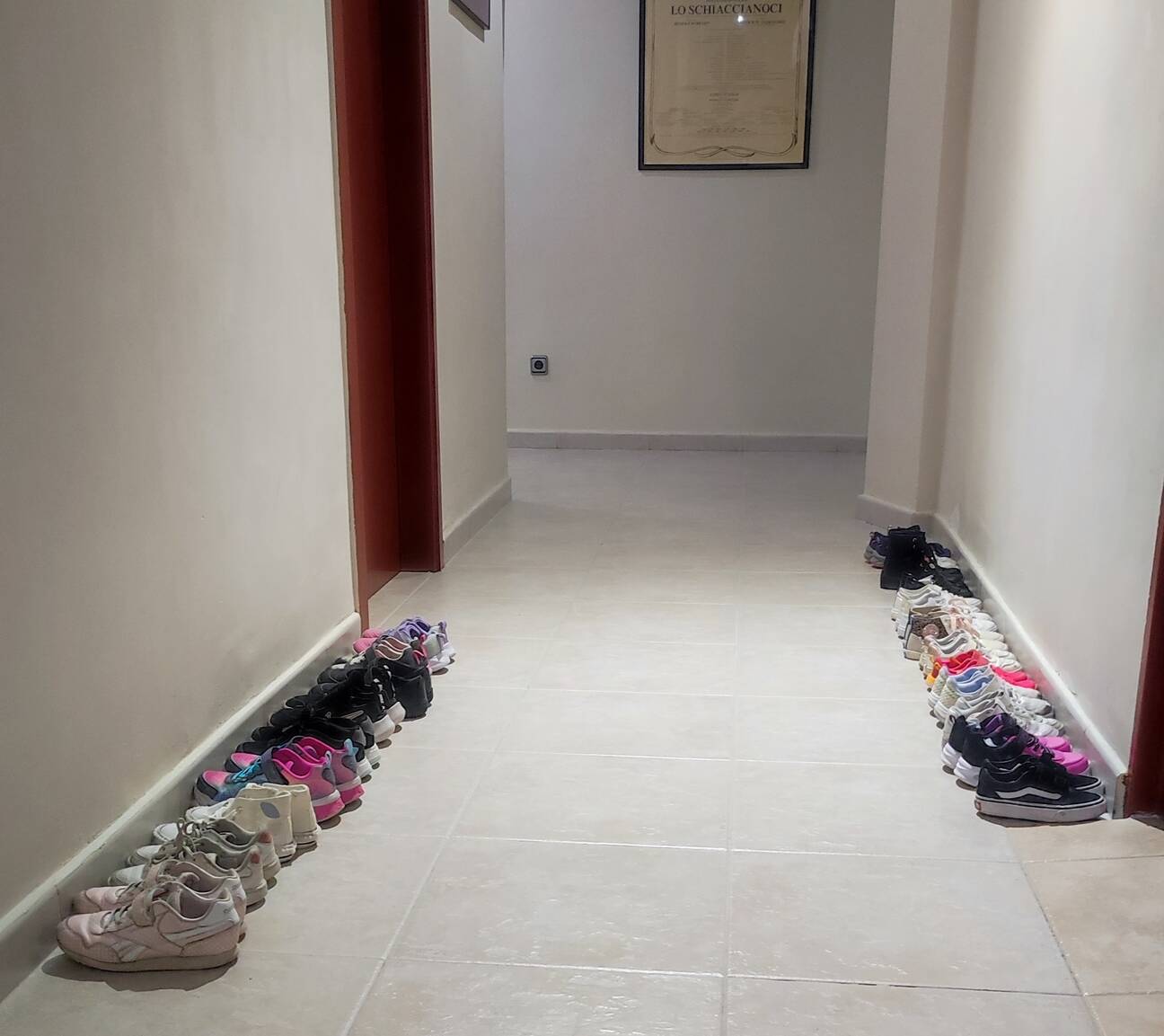 Zapatillas